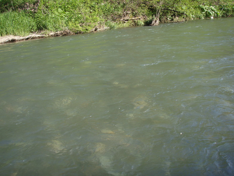 a0169776_19301010.jpg