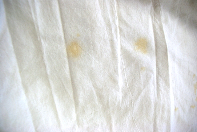 b0148676_17482211.jpg