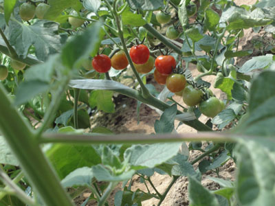 f0054977_18212486.jpg