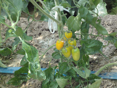 f0054977_18215026.jpg