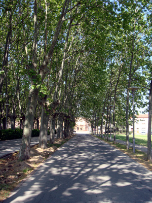 d0016778_9584914.jpg