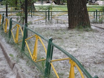 f0209878_1623488.jpg