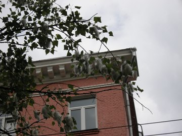 f0209878_16312857.jpg