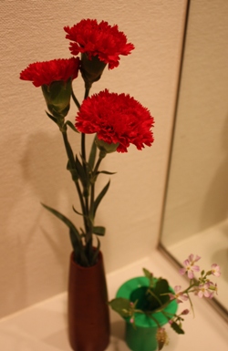 f0120980_1104255.jpg