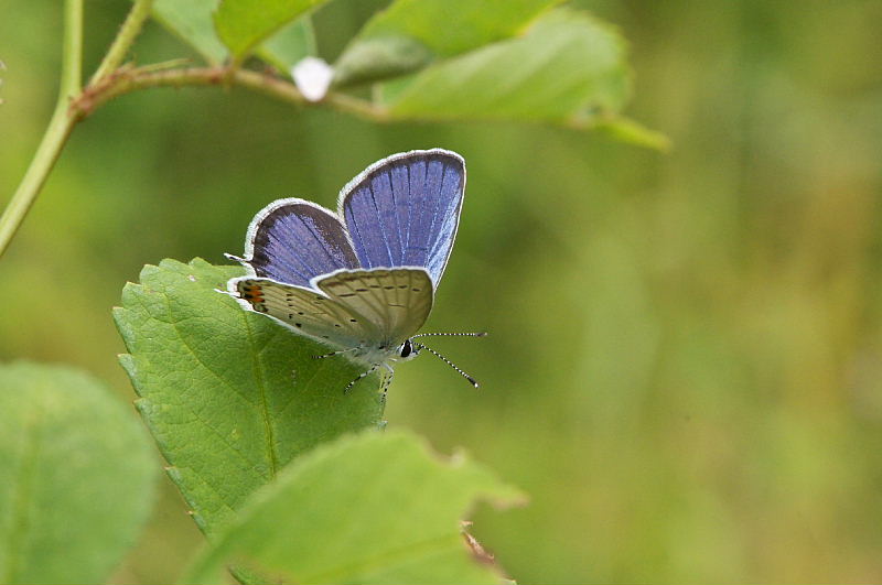 f0031682_12525163.jpg