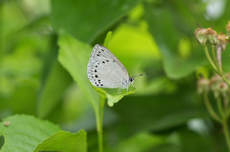 f0031682_12545268.jpg