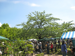 a0062983_13572596.jpg