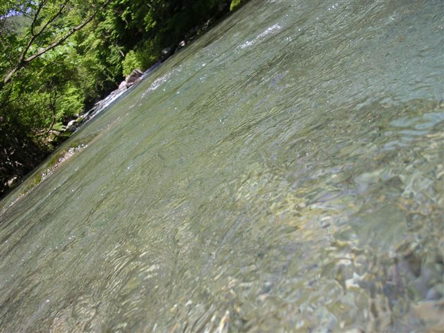 d0164783_228447.jpg