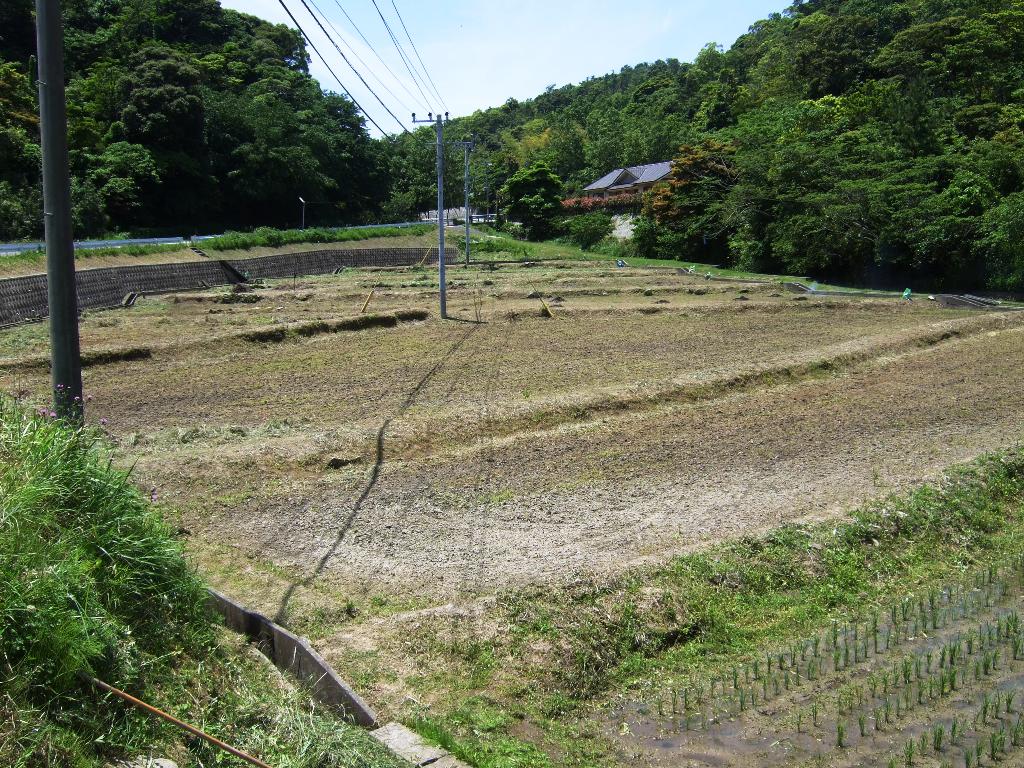 d0155786_7591951.jpg