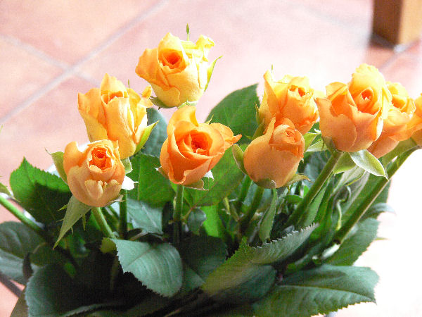 e0140986_1524254.jpg