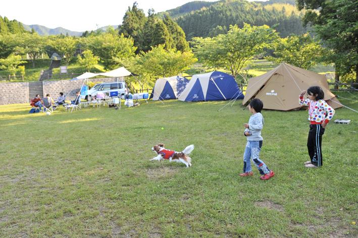 f0112087_17133299.jpg