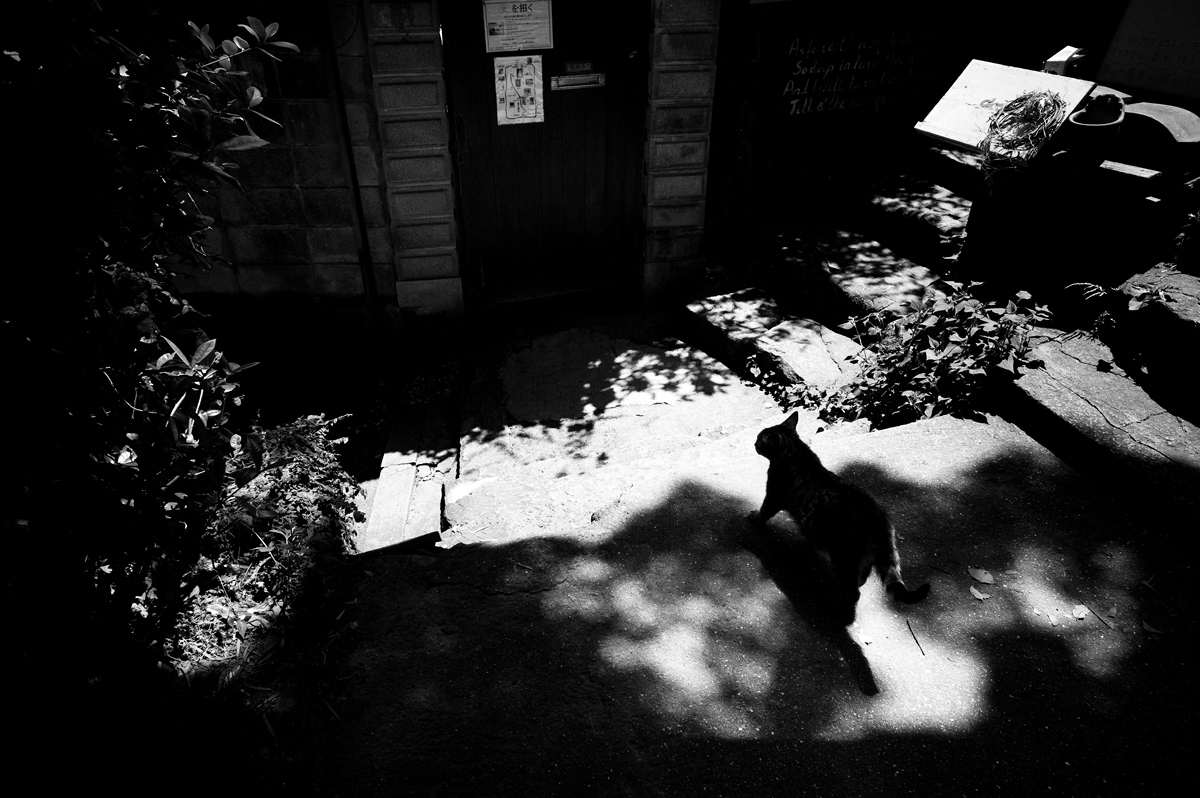 d0142891_21205886.jpg