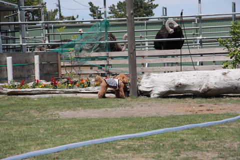 b0104592_177551.jpg