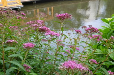 c0138198_22544137.jpg