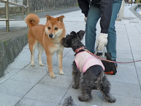 c0138198_2324165.jpg