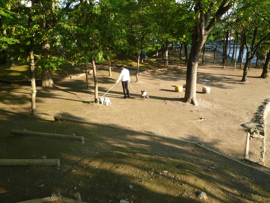 c0138198_233217100.jpg