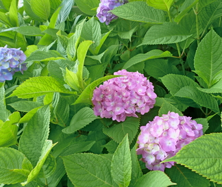 c0138198_23331948.jpg