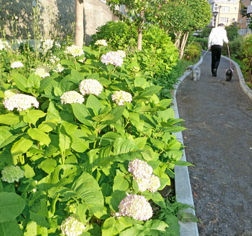 c0138198_23341148.jpg