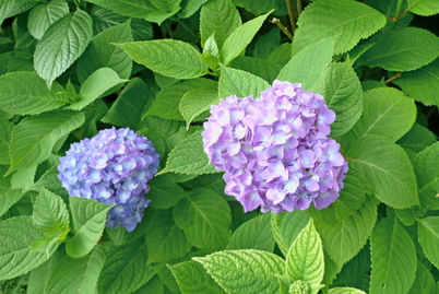 c0138198_23345926.jpg
