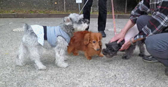 c0138198_2394392.jpg