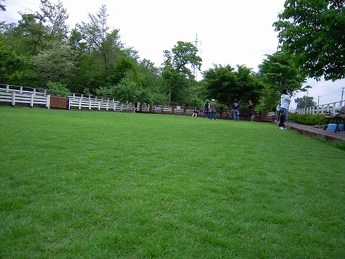 d0145798_236639.jpg