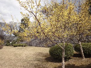 e0122199_17331061.jpg
