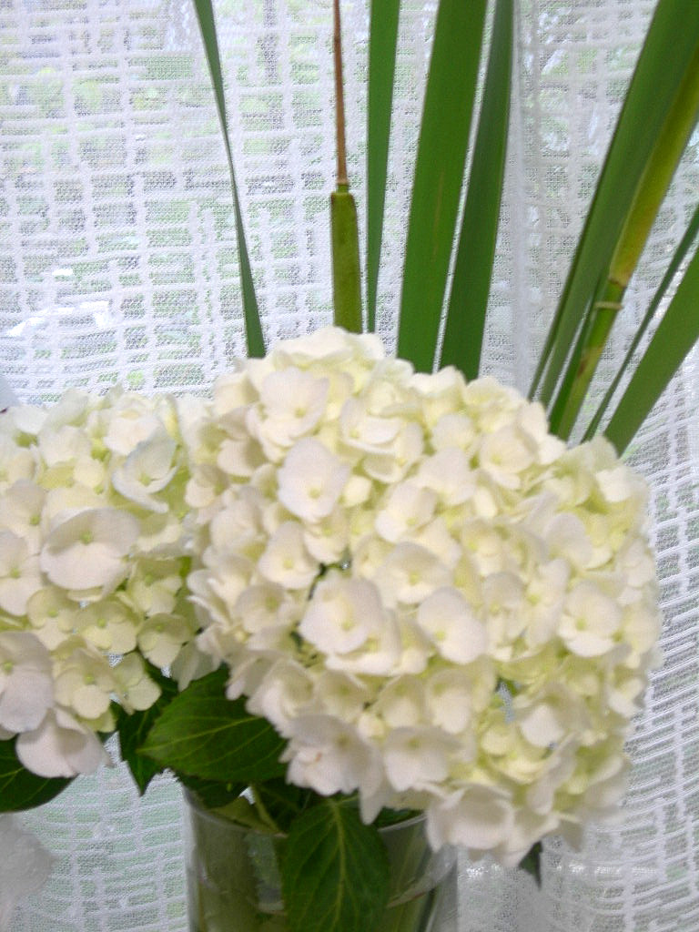 c0220700_12432426.jpg
