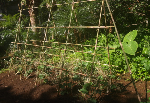 e0089001_20591369.jpg