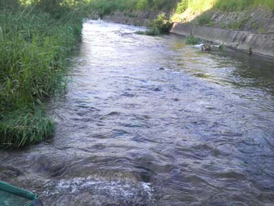 f0082402_21293524.jpg