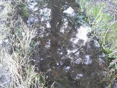 f0082402_21342571.jpg