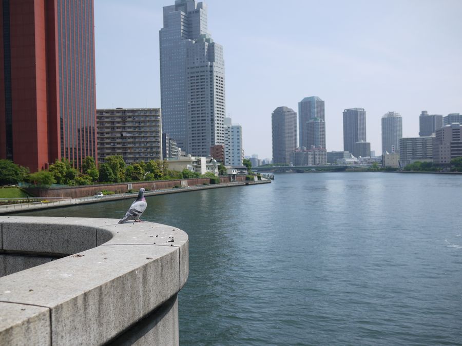 c0187503_22112291.jpg