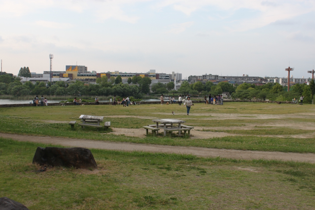 a0147507_2331335.jpg