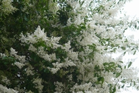 f0221708_21113933.jpg