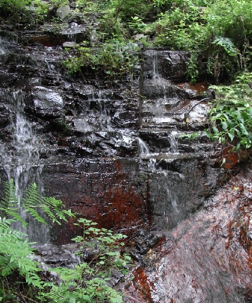 f0006510_23452888.jpg