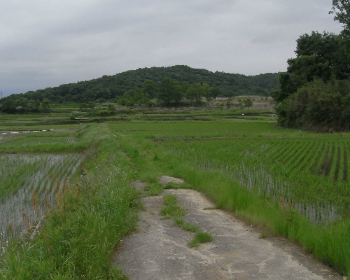f0006510_23582545.jpg
