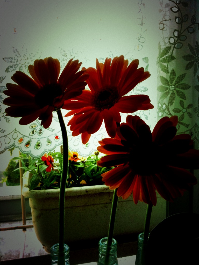 c0026612_8542076.jpg