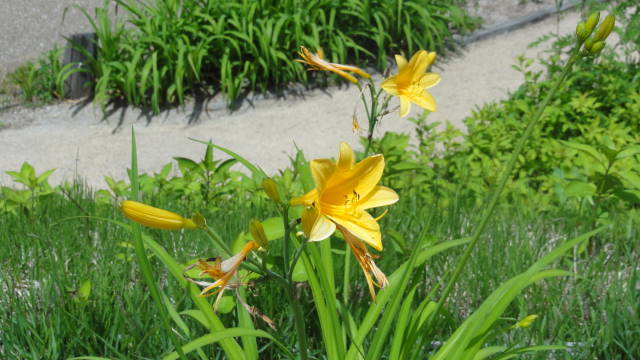 f0233414_21175733.jpg