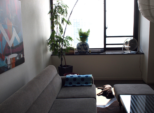 a0096015_15202227.jpg