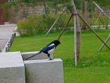 f0200221_17272348.jpg
