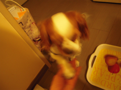 f0214121_2121253.jpg