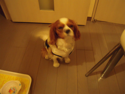 f0214121_21234963.jpg