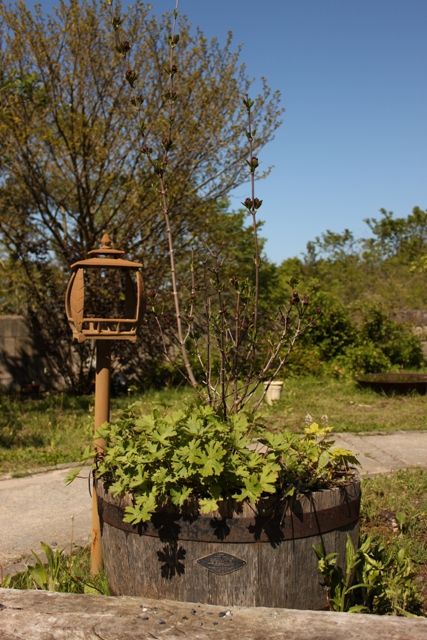 a0061023_1701437.jpg
