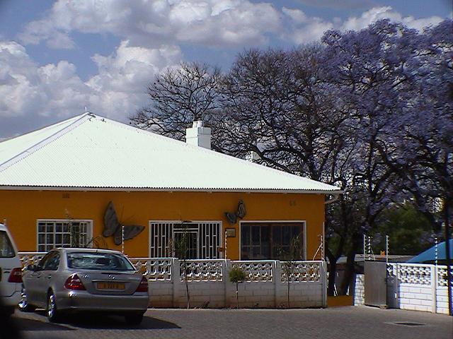 e0055023_015190.jpg