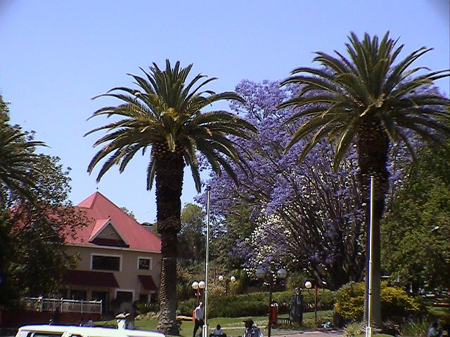 e0055023_0263014.jpg