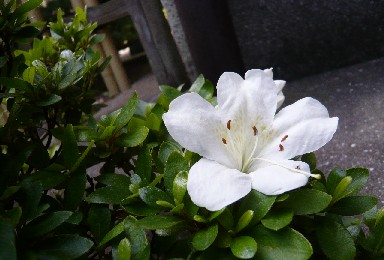 a0098027_16553640.jpg