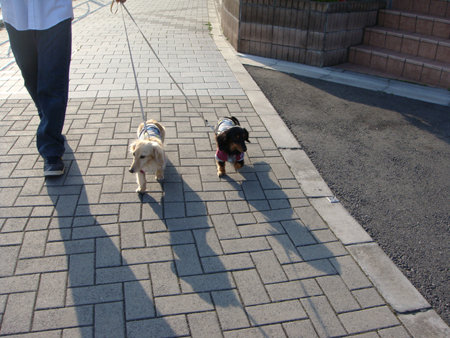 c0117831_2153820.jpg