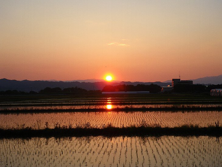 f0118332_0305473.jpg
