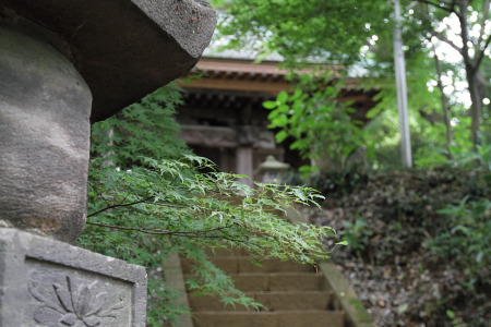 e0044635_20143910.jpg