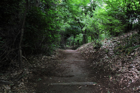 e0044635_20152414.jpg