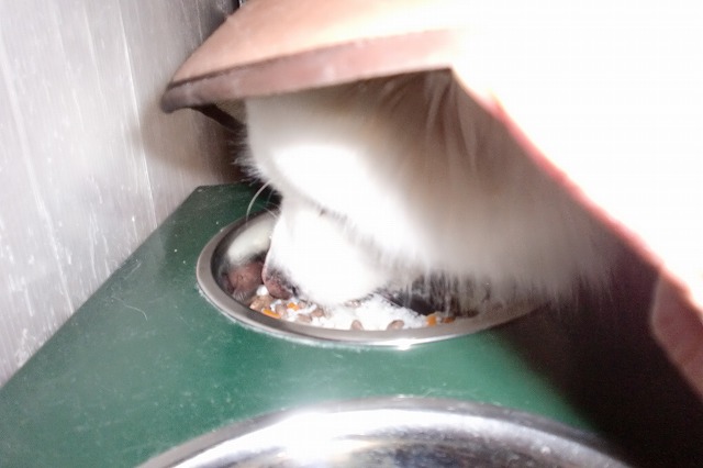 e0196135_18333864.jpg